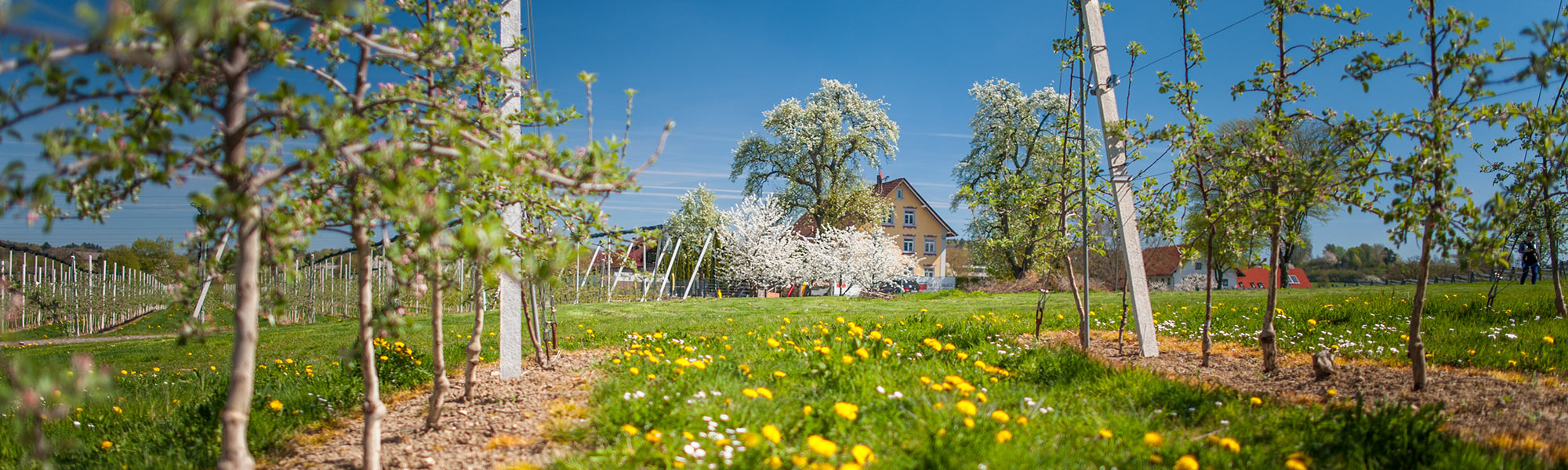 startseiten-headerslide1