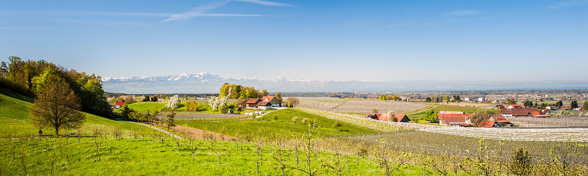 startseiten-headerslide2