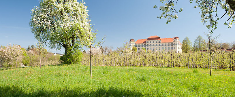 Hof zum Stadl, Fotografie Jan Dullenkopf